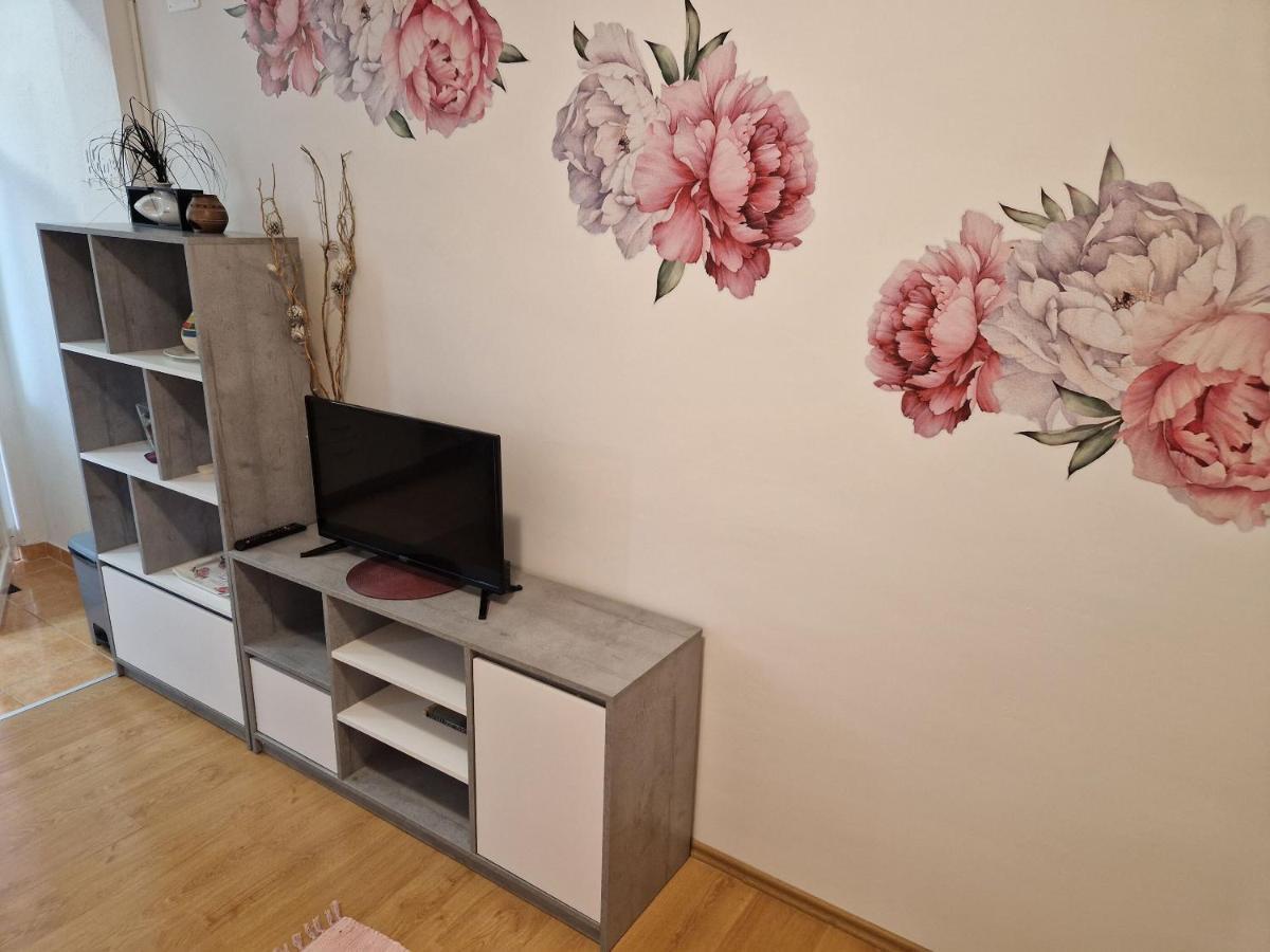 Apartments Dragan Baška Voda Zewnętrze zdjęcie